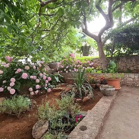 Three Olive Trees - Okrug, Ciovo Trogir