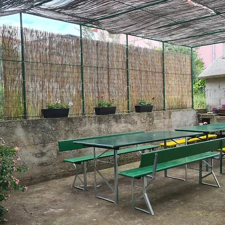 Three Olive Trees - Okrug, Ciovo Apartment Trogir