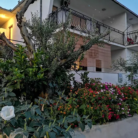 Apartment Three Olive Trees - Okrug, Ciovo Trogir