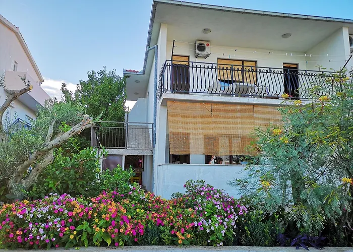 Apartament Three Olive Trees - Okrug, Ciovo Dalmatia *