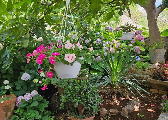 Three Olive Trees - Okrug, Ciovo Dalmatia Apartament