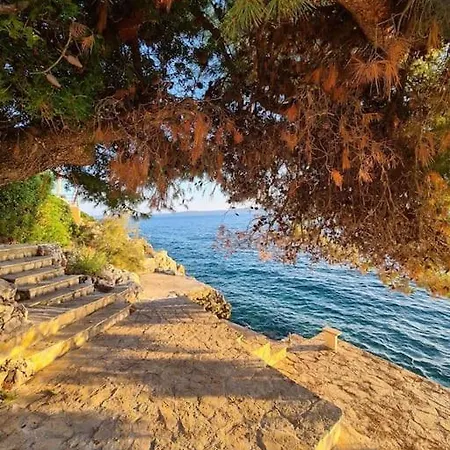 Three Olive Trees - Okrug, Ciovo Dalmatia * Trogir
